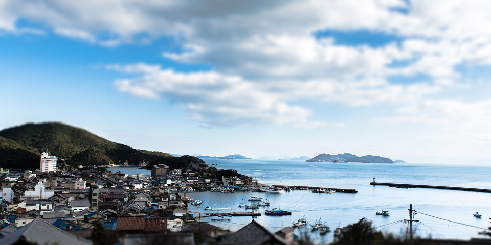 医王寺からの鞆の浦の景色